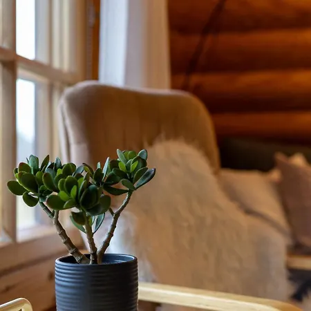 Tilhi - Cozy 2br With Sauna & Fireplace *